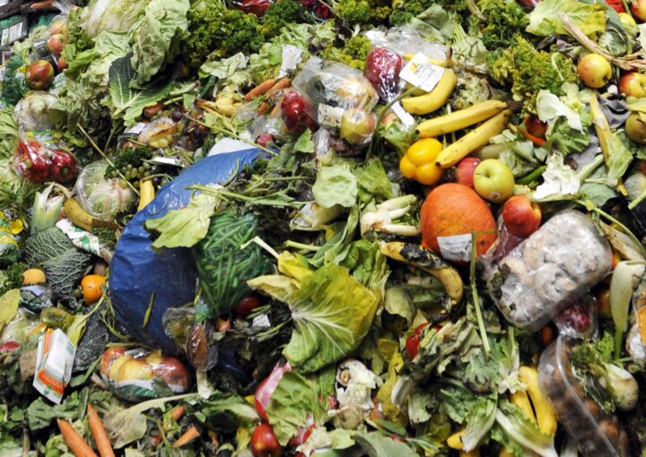 The ideal picture of food waste