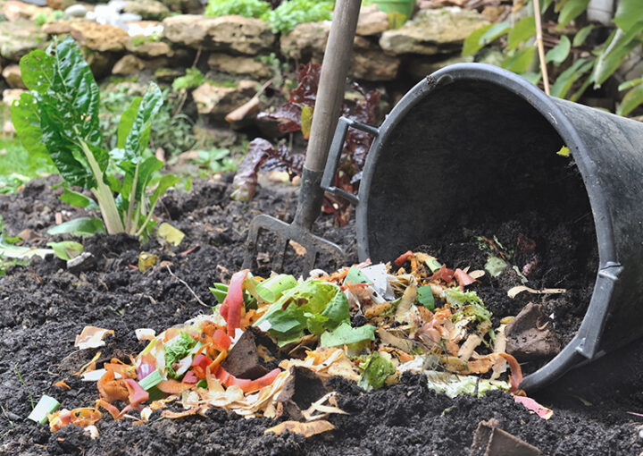 Benefits of composting