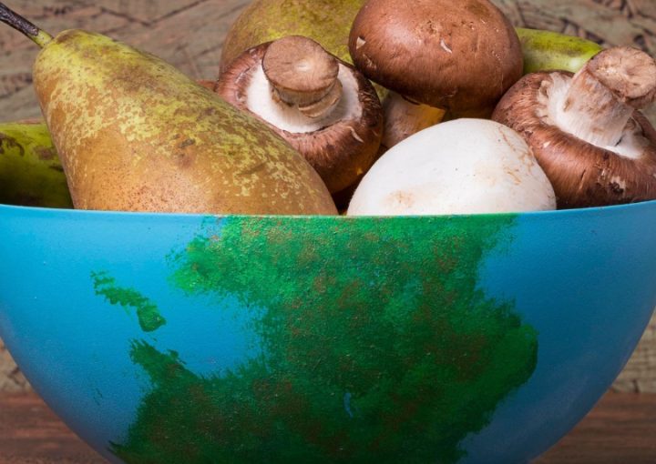 Bowl painted as Earth filled with food, symbolising the issue of food waste.