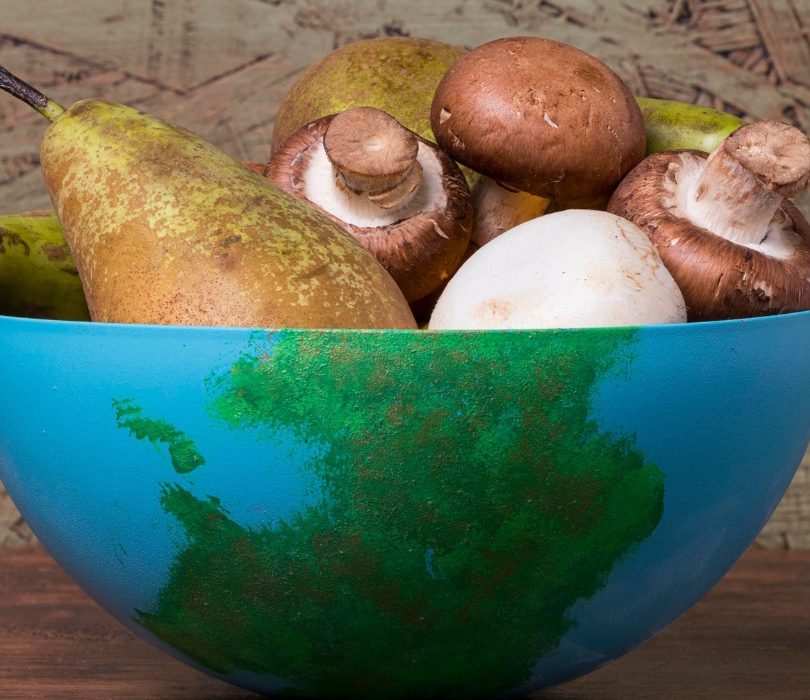 Bowl painted as Earth filled with food, symbolising the issue of food waste.