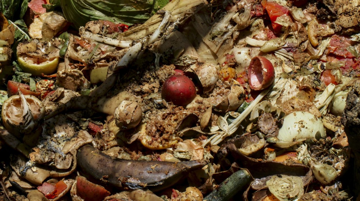 Rotting food waste, including decaying vegetables and fruits, left to deteriorate, highlighting the issue of food waste and its impact on sustainability