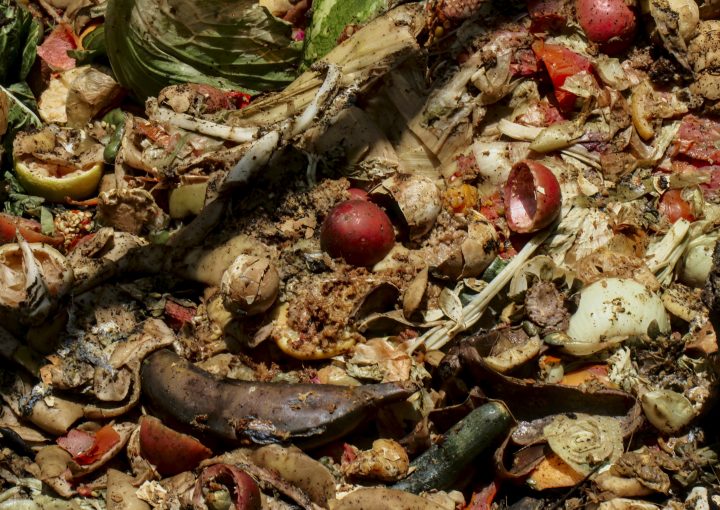 Rotting food waste, including decaying vegetables and fruits, left to deteriorate, highlighting the issue of food waste and its impact on sustainability